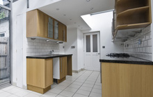 Camore kitchen extension leads
